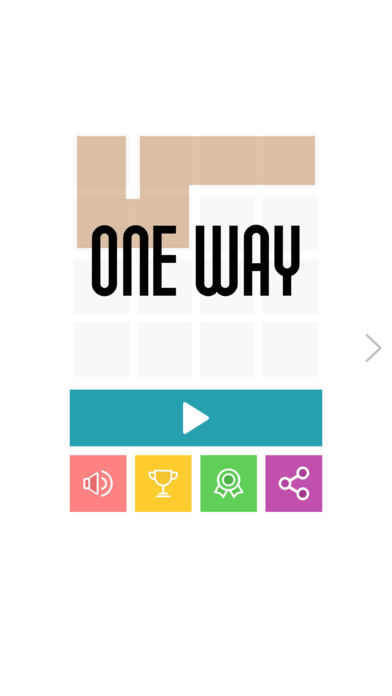 One Way Puzzle
